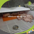 Equipamento Pig Piglet Aquecimento Pigsty Mat Usado em Farrowing Crate